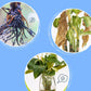 ✨ All-Purpose Plant Nutrient Solution—Promotes Growth and Vitality! ✨