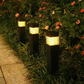🏃 50% OFF WHILE STOCKS LAST 🚗 Perfect for Driveways, Pathways & Front Yards
