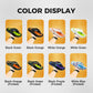 Comfortable Summer Flip Flops with Thick Soles