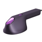 Portable steam iron