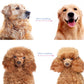 🔥Professional Deshedding Tool For Dogs And Cats