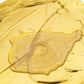⏳Time-Limited Special💛Weather resistant water-based gold paint