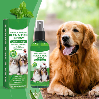 Last day of the flash sale🔥Natural Flea & Tick Spray for Dogs and Cats