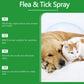 Last day of the flash sale🔥Natural Flea & Tick Spray for Dogs and Cats