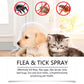 Last day of the flash sale🔥Natural Flea & Tick Spray for Dogs and Cats