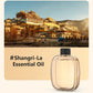 2026 HOT SALE🥳Freshen Any Room Instantly! No-Cord Timed Aroma Diffuser