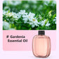 Freshen Any Room Instantly! No-Cord Timed Aroma Diffuser